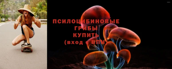 СК Абинск