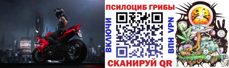 Галлюциногенные грибы Psilocybe  Брюховецкая 